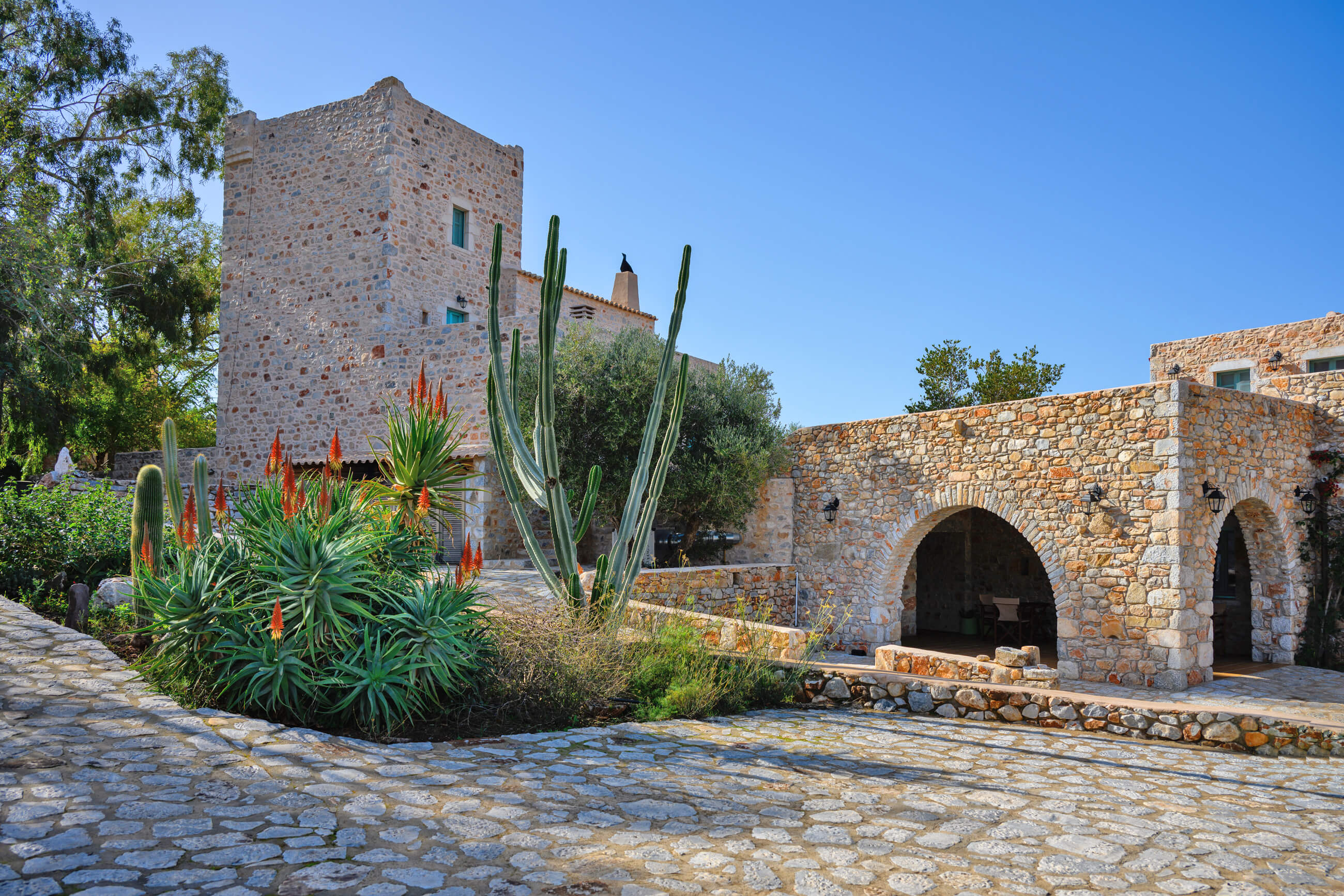 Contact Pandora Mani